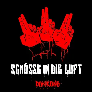 Pochette Schüsse in die Luft (Donkong Remix)