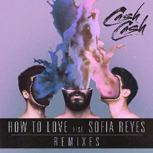 Pochette How to Love (remixes)
