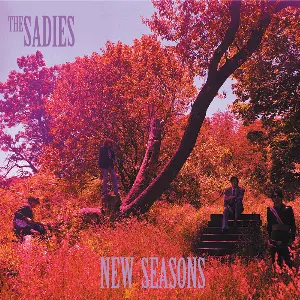 Pochette de New Seasons de The Sadies