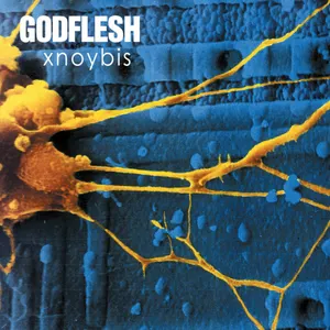 Pochette de Xnoybis de Godflesh
