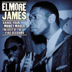 Pochette Shake Your Moneymaker: The Best of the Fire Sessions