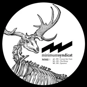 Pochette de Way of the Strobe de Umwelt