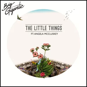 Pochette de The Little Things de Big Gigantic