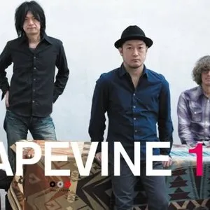 Pochette de 1977 de GRAPEVINE