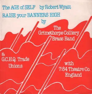 Pochette The Age of Self / Raise Your Banners High