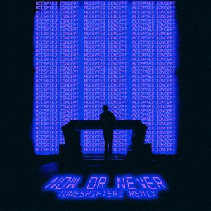 Pochette de Now or Never (Toneshifterz remix) de Will Sparks