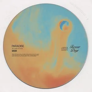Pochette de Paradise de SG Lewis