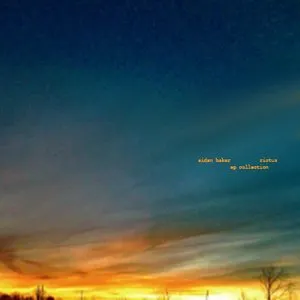 Pochette de Rictus de Aidan Baker