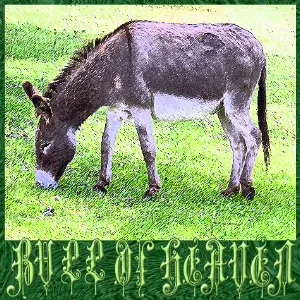 Pochette de 186: A Donkey's Head Sold for Eighty Shekels of Silver de Bull of Heaven