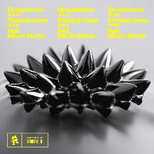 Pochette de Coming Home de Dirtyphonics