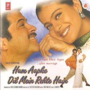 Pochette de Hum Aap Ke Dil Mein Rehte Hain de Anu Malik
