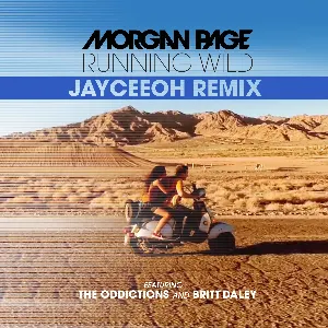Pochette de Running Wild (Jayceeoh remix) de Morgan Page
