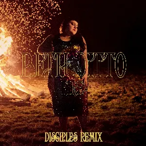 Pochette Fire (Disciples remix)
