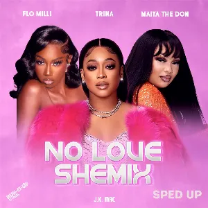 Pochette de No Love Shemix (sped up) de Flo Milli - Trina