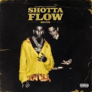 Pochette de Shotta Flow 7 (remix) de NLE Choppa