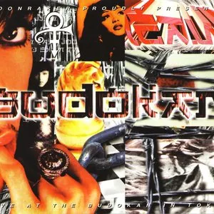 Pochette de Budokan de Prince
