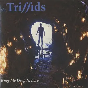 Pochette de Bury Me Deep in Love de The Triffids