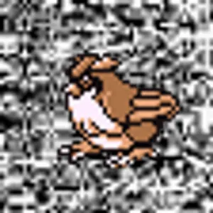 Pochette de #016 ~ Pidgey de h POKéDEX