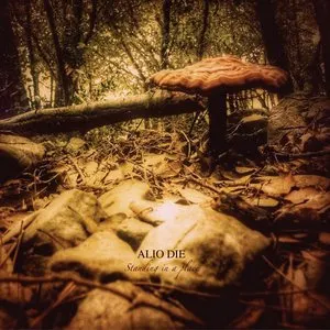 Pochette de Standing in a Place de Alio Die