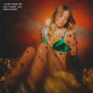 Pochette de Picture Us (NERVO Remix) de Anabel Englund - NERVO
