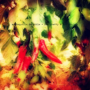 Pochette de Mantequilla de Chile de The Cherry Blues Project
