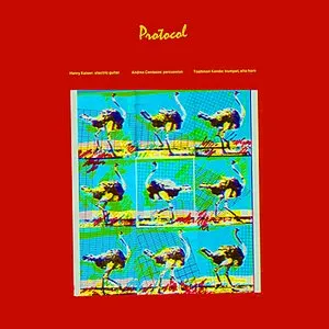 Pochette de Protocol de Henry Kaiser