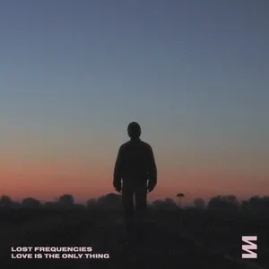 Pochette de Love Is the Only Thing de Lost Frequencies