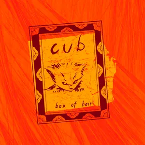 Pochette de Box of Hair de cub