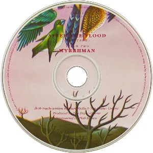 Pochette de After the Flood (outtake) de Talk Talk