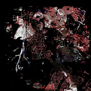 Pochette de She Is Pleasure, She Is Death de Falsewander