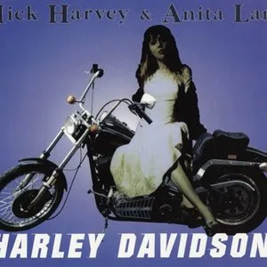 Pochette Harley Davidson