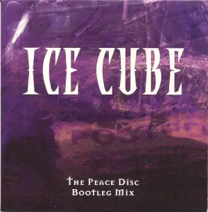 Pochette The Peace Disc Bootleg Mix