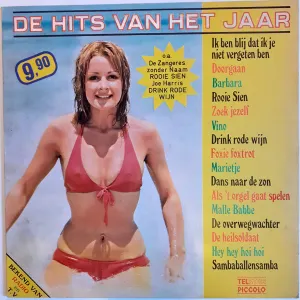 Pochette de De hits van het jaar de Zangeres Zonder Naam - Johnny Hoes