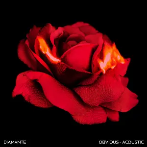 Pochette de Obvious (acoustic) de DIAMANTE