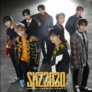 Pochette de SKZ2020 de Stray Kids