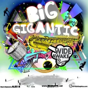 Pochette de Wide Awake de Big Gigantic