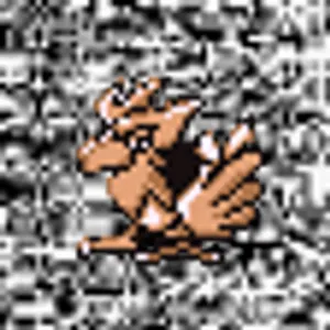 Pochette de #021 ~ Spearow de h POKéDEX