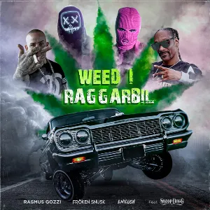 Pochette de WEED I RAGGARBIL de Snoop Dogg