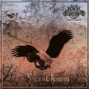 Pochette de Suicidal Rebirth de Ekove Efrits