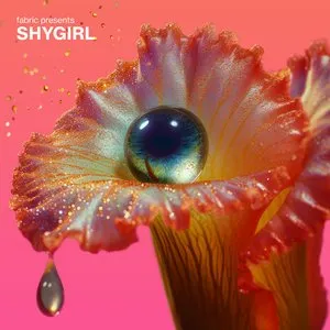 Pochette de fabric presents Shygirl de Shygirl