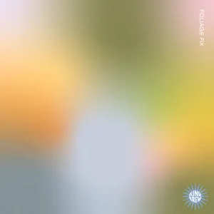 Pochette de foliage fix de invention_