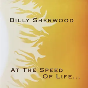 Pochette de At the Speed of Life... de Billy Sherwood