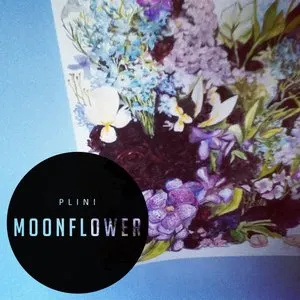 Pochette de Moonflower de Plini