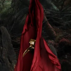 Pochette de Animal de Claptone