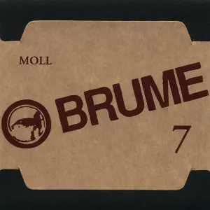 Pochette de Moll de Brume