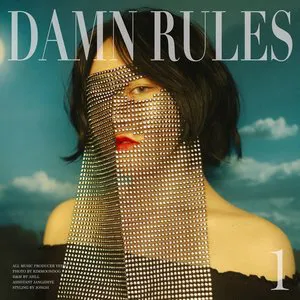 Pochette de Damn Rules de Silly Silky