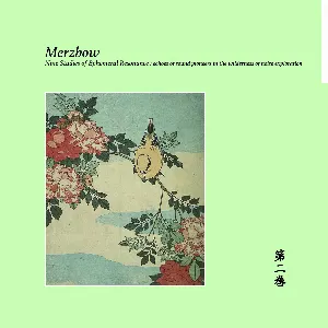 Pochette de Nine Studies of Ephemeral Resonance, Volume 2 de Merzbow