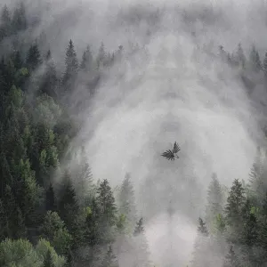 Pochette de Marcha Muisca de Mente Orgánica