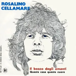 Pochette de Il bosco degli amanti de Ron