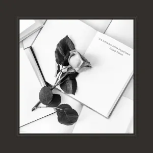 Pochette de The Tortured Poets Department (The Anthology): Piano Instrumentals de Minnz Piano